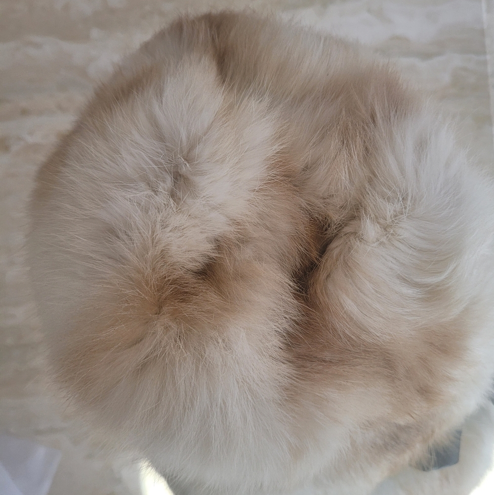 Christian Dior Vintage Fur Bucket Hat - Picture 13 of 15